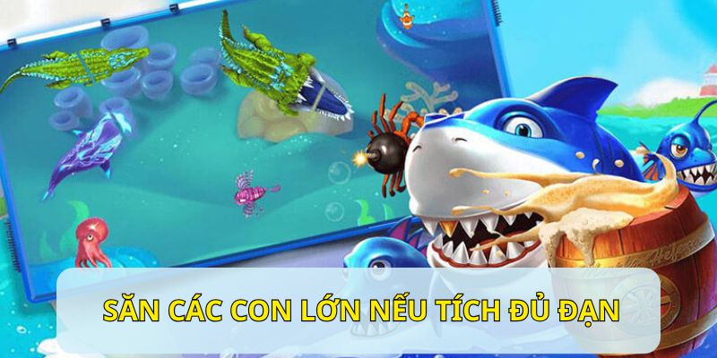Chiến thuật bắn cá thắng lớn hiệu quả là săn mồi lớn khi đủ đạn