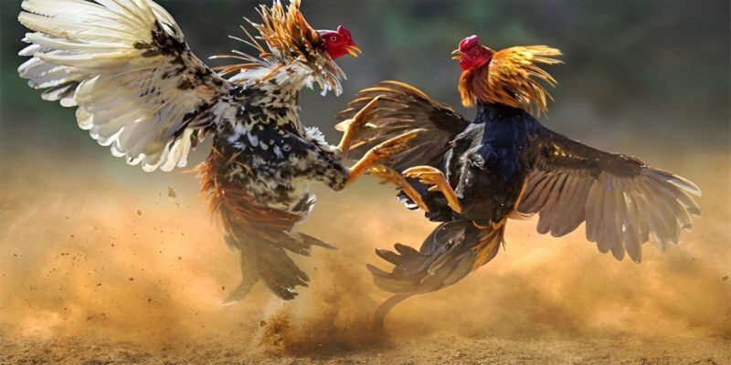 Chương trình khuyến mãi hoàn trả hấp dẫn tại 789P